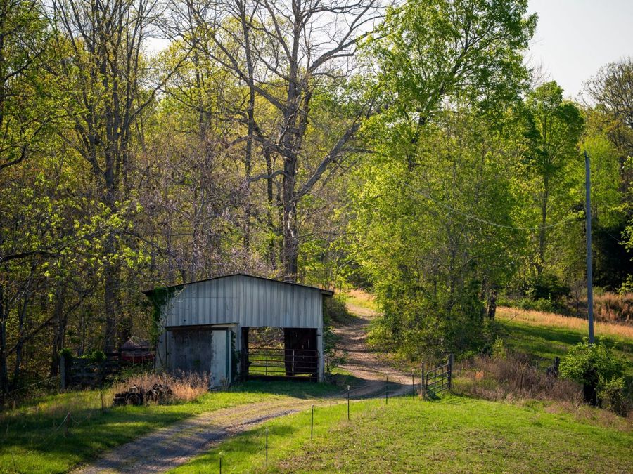 Property Image 19