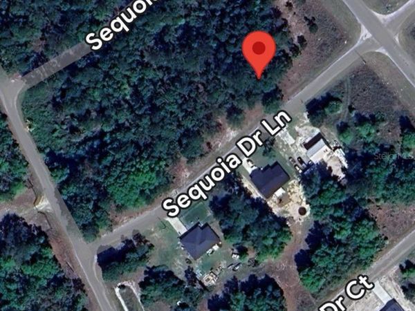 33 SEQUOIA DRIVE LANE , OCKLAWAHA, FL 32179