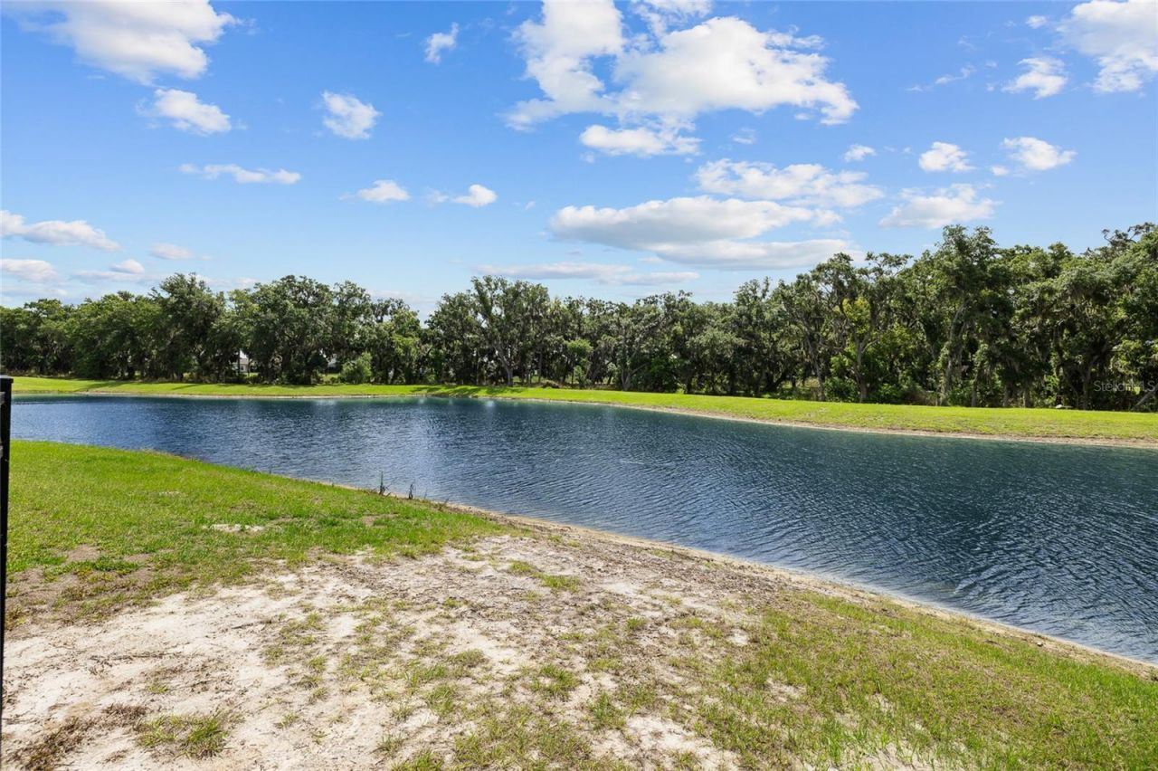 12940 Steed Trace Loop, Lithia, FL 33547 Photo