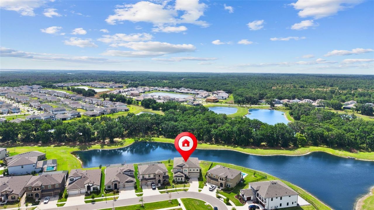 12940 Steed Trace Loop, Lithia, FL 33547 Photo