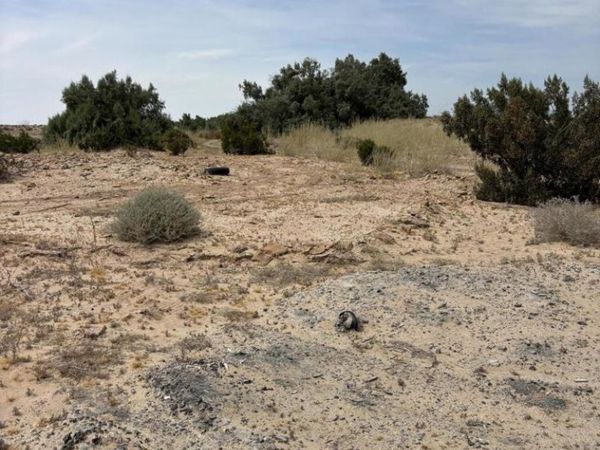 3343 Sweet Road, Imperial, CA 92251