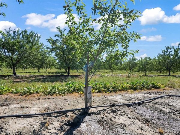 0 Buchanan Hollow Road, Le Grand, CA 95333