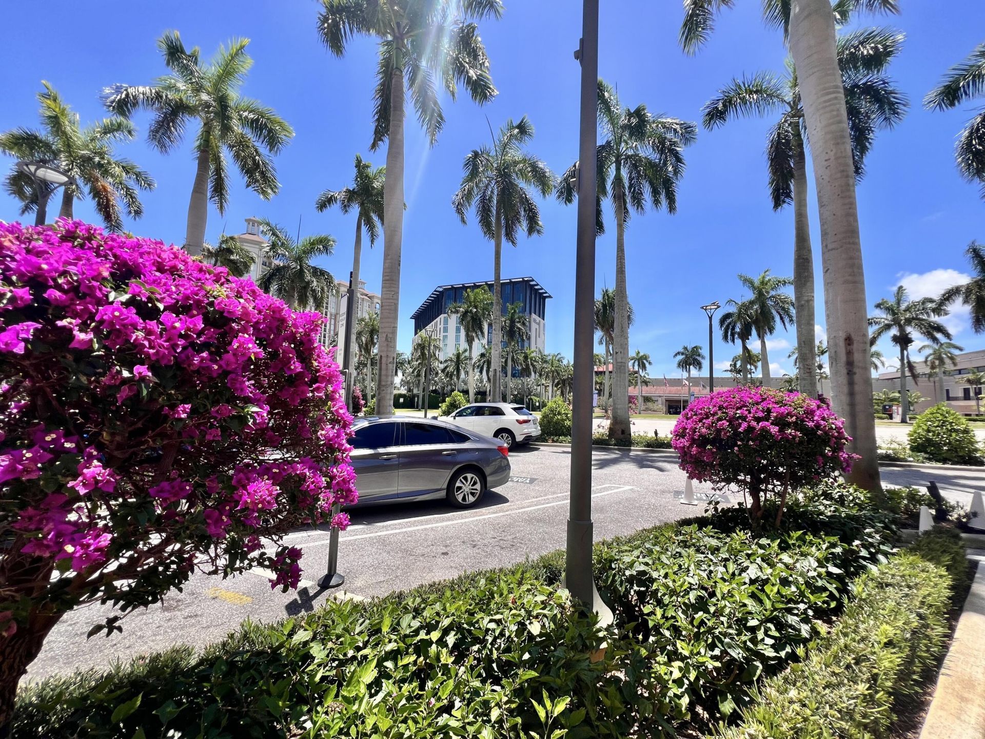 651 Okeechobee Boulevard, Unit 706, West Palm Beach, FL 33401 Photo