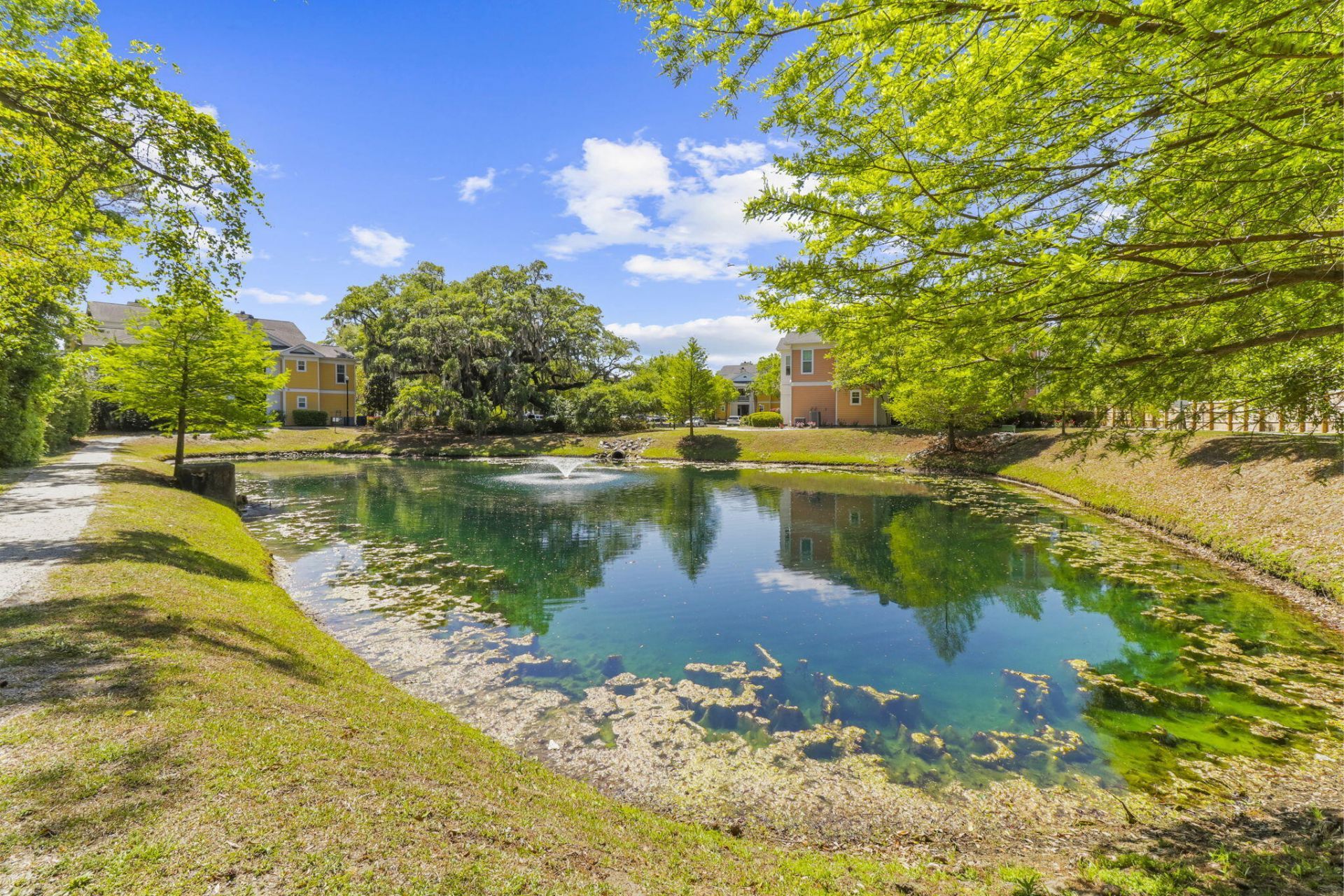 1925 Chatelain Way Photo 31