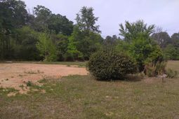 242 Ault Road photo 4