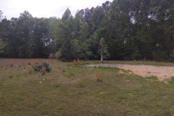 242 Ault Road photo 4