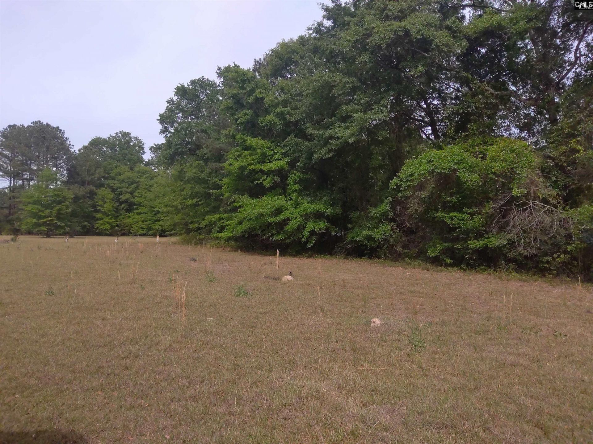 242 Ault Road Photo 4