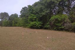 242 Ault Road photo 4