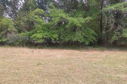 242 Ault Road photo 4