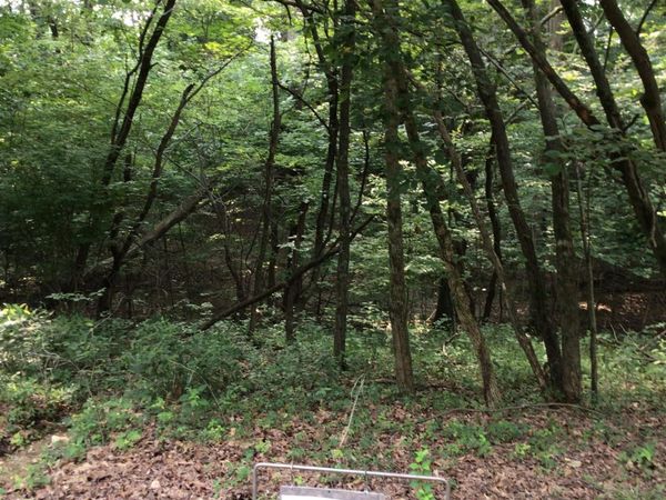 Lot 39 Lake Shore Lane, Huntingburg, IN 47542