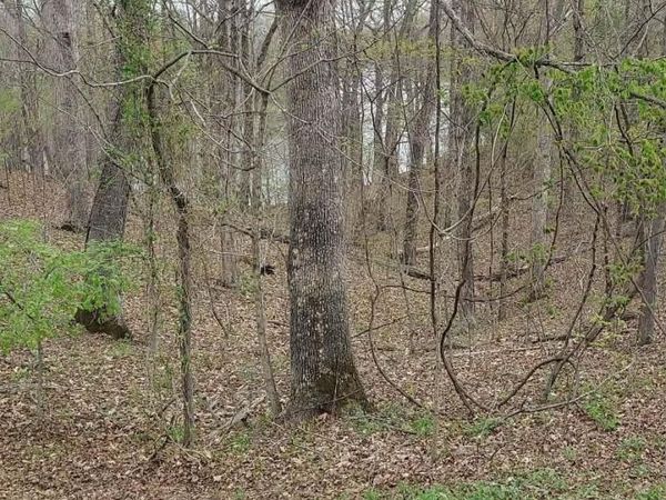 Lots 20A & 21 Hickory Ridge Lane, Huntingburg, IN 47542