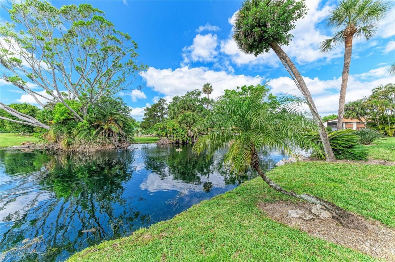 4578 Red Maple Road, Unit 904, Bradenton, FL 34210 Photo