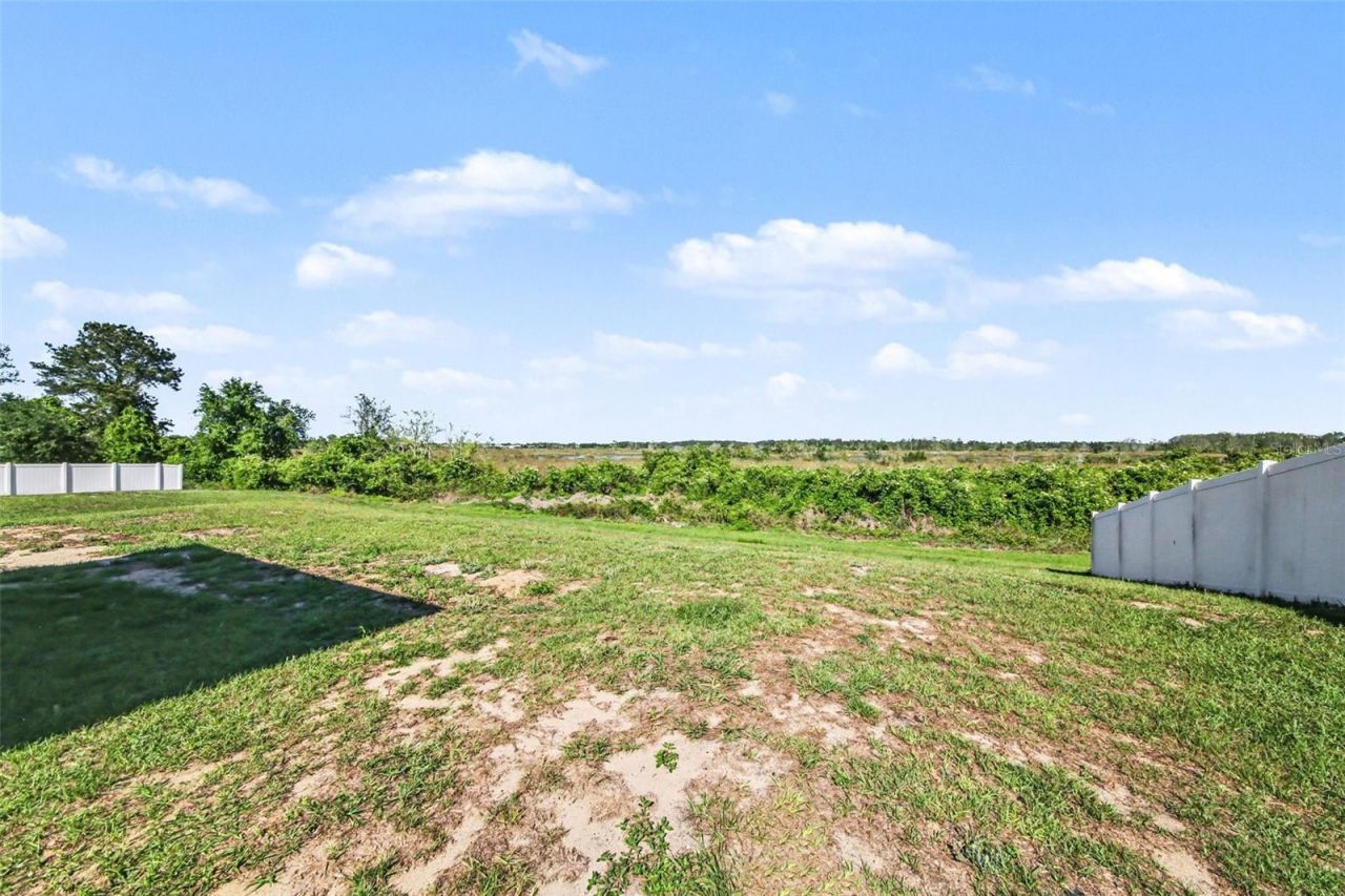 1011 Bluegrass Drive , Groveland, FL 34736 Photo