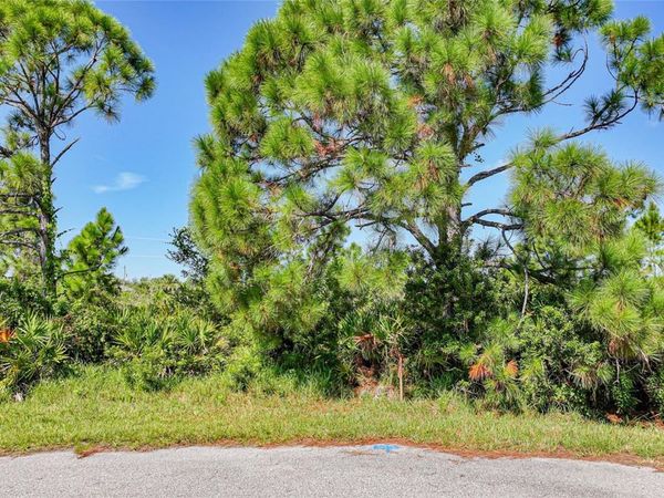 12 DOG COURT , PLACIDA, FL 33946