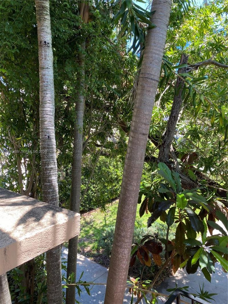 40 Almeria Ave, Unit 16, Coral Gables, FL 33134 Photo