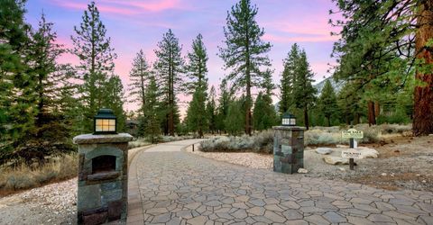 229 Five Creek Road, Gardnerville, NV 89460 Photo