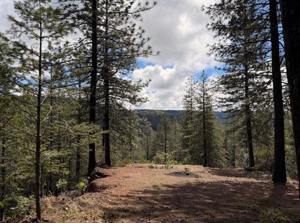 115 Main St, Gold Run, CA 95717 Photo