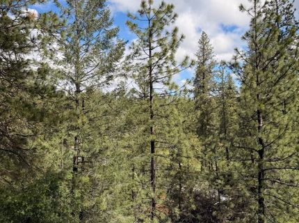 115 Main St, Gold Run, CA 95717 Photo