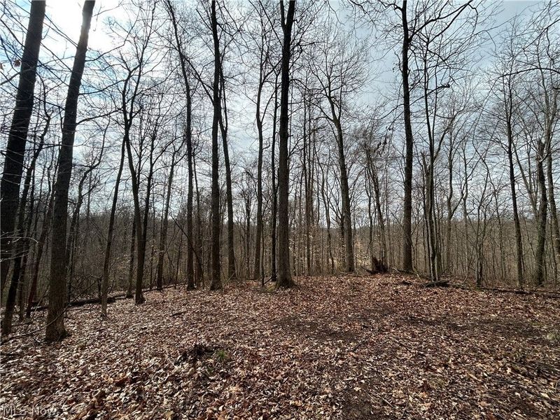 Wilbur Bush Road, Crooksville, OH 44606 Photo 1