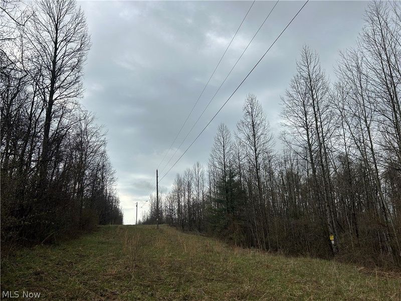 Wilbur Bush Road, Crooksville, OH 44606 Photo 10