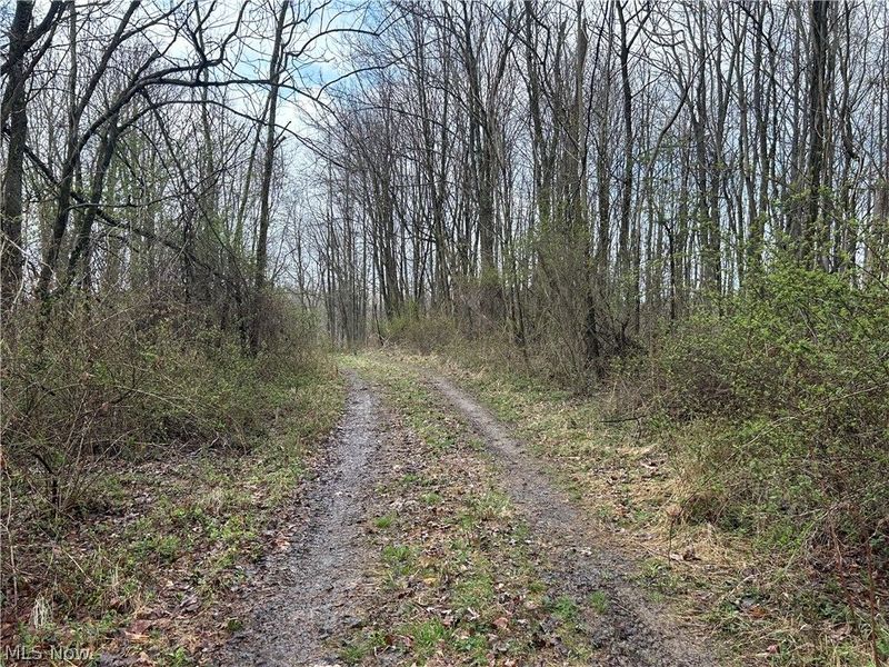 Wilbur Bush Road, Crooksville, OH 44606 Photo 12