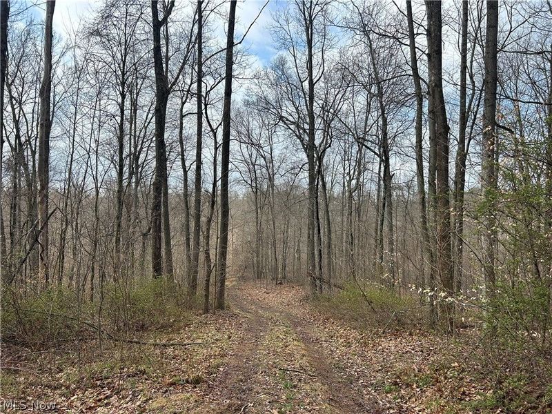 Wilbur Bush Road, Crooksville, OH 44606 Photo 13