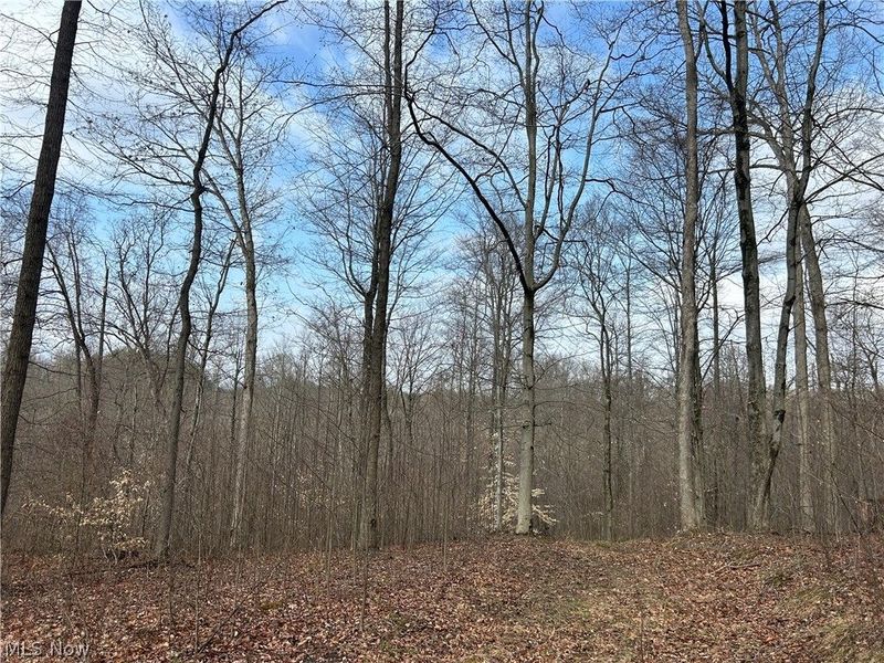 Wilbur Bush Road, Crooksville, OH 44606 Photo 14