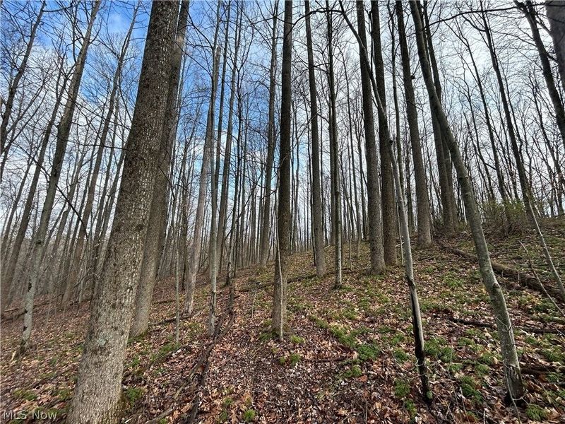 Wilbur Bush Road, Crooksville, OH 44606 Photo 16