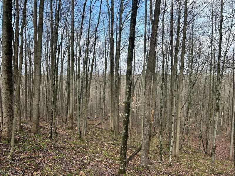 Wilbur Bush Road, Crooksville, OH 44606 Photo 18