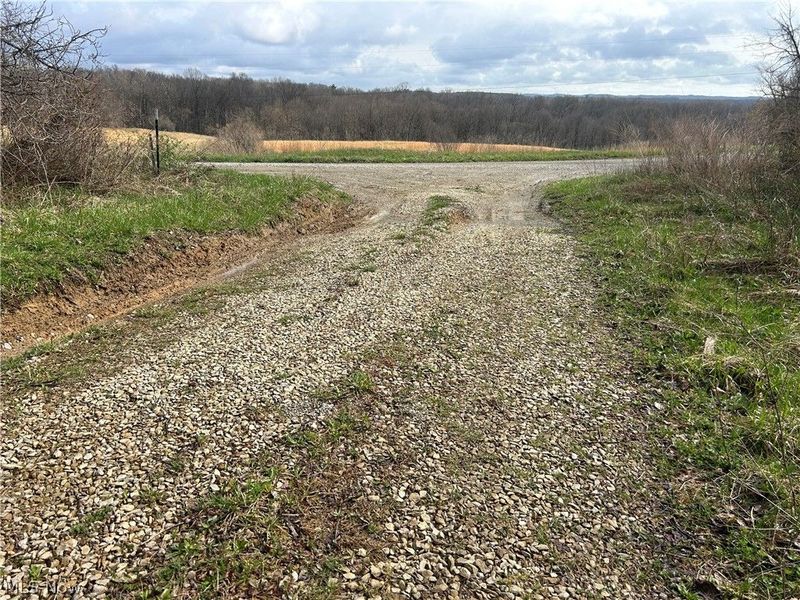 Wilbur Bush Road, Crooksville, OH 44606 Photo 19