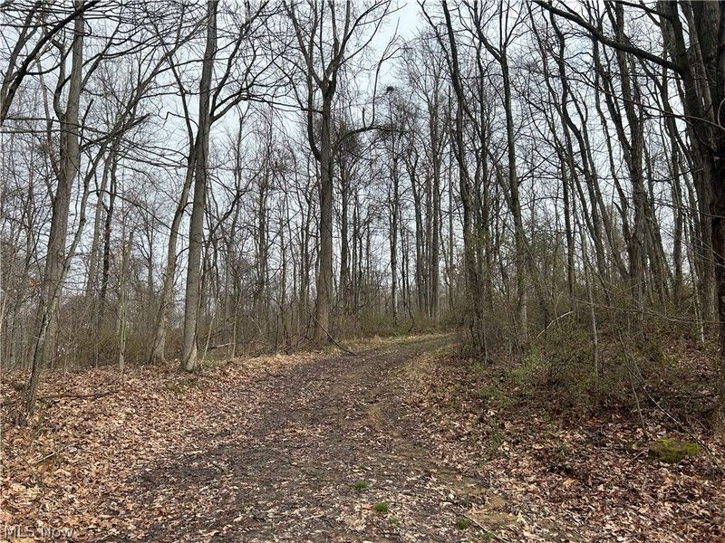 Wilbur Bush Road, Crooksville, OH 44606 Photo 2