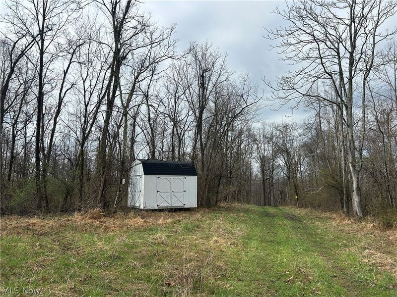 Wilbur Bush Road, Crooksville, OH 44606 Photo 4