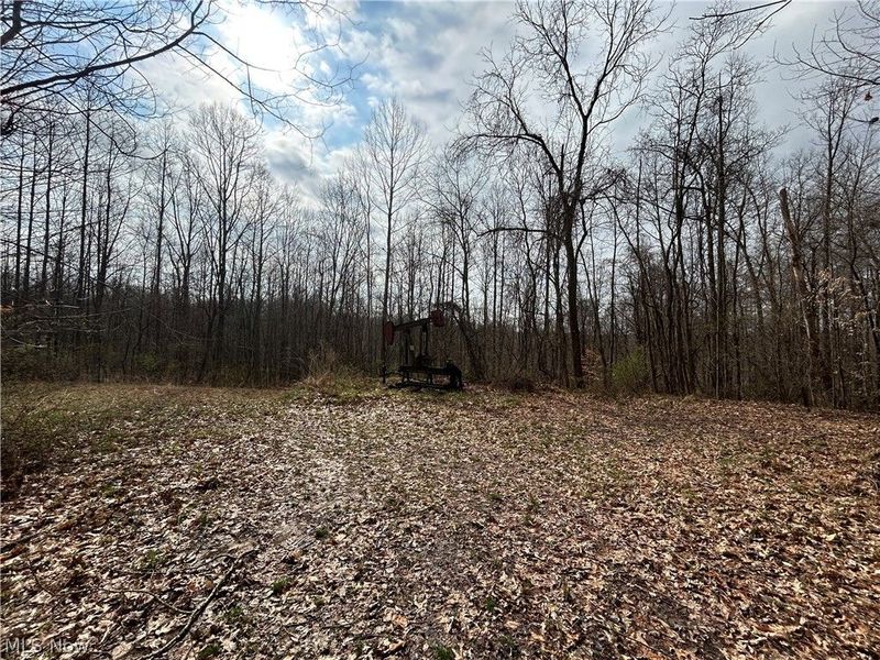 Wilbur Bush Road, Crooksville, OH 44606 Photo 5