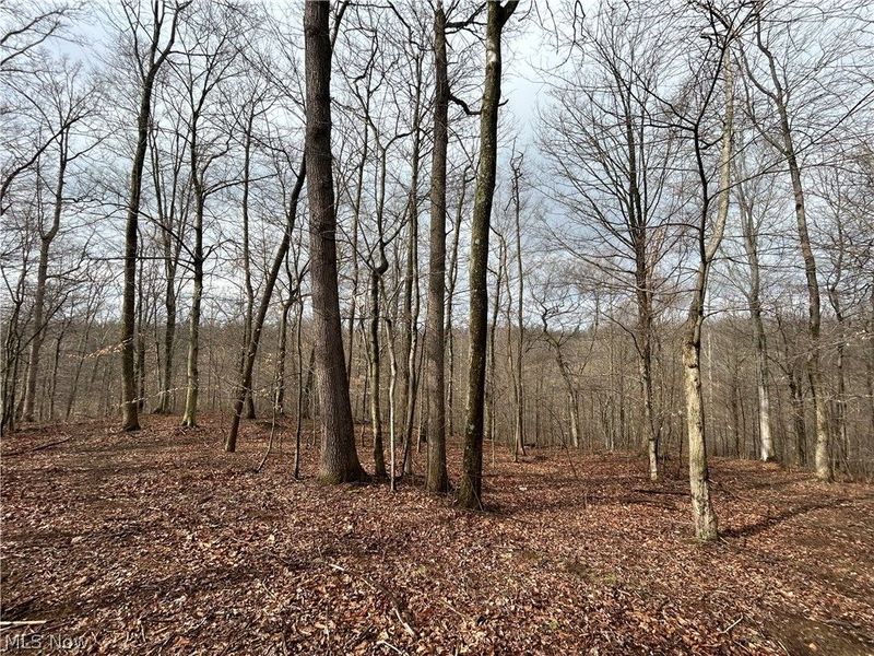 Wilbur Bush Road, Crooksville, OH 44606 Photo 7