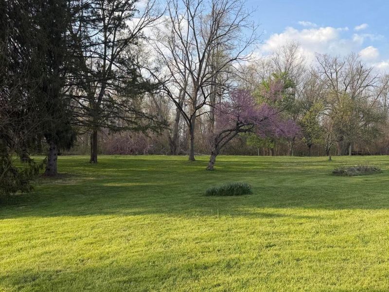 303 Summit Street, Pleasantville, OH 43148 Photo 36