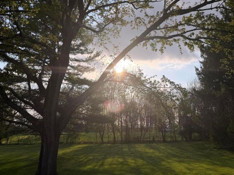 303 Summit Street, Pleasantville, OH 43148 Photo 37