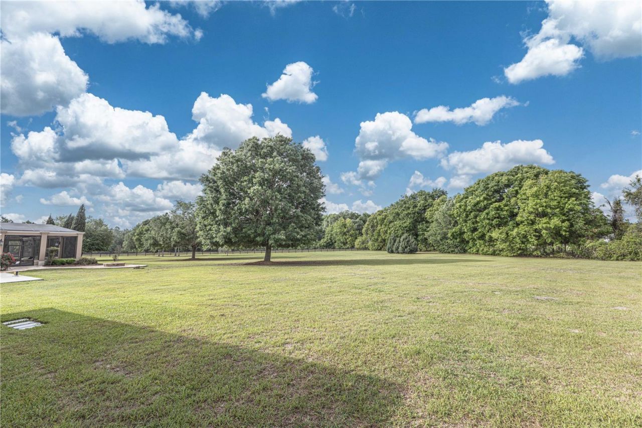 10517 NE 27th Street, Oxford, FL 34484 Photo