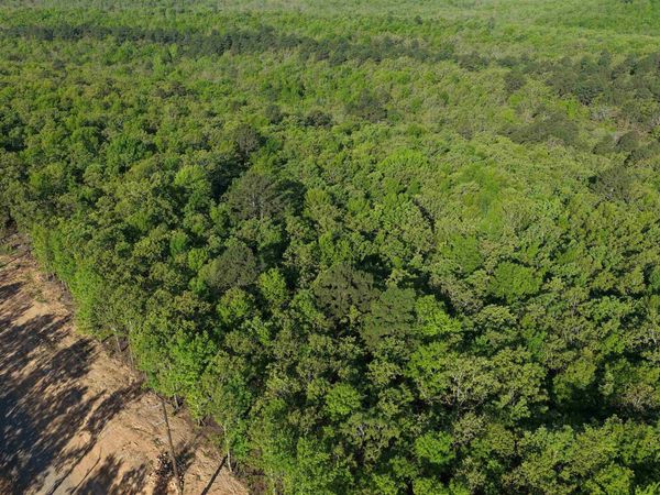 78 - 7 Lakes Ranch Blvd, Conway, AR 72023