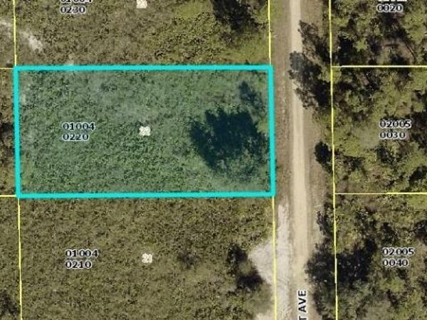 419 Scott AVE, LEHIGH ACRES, FL 33972