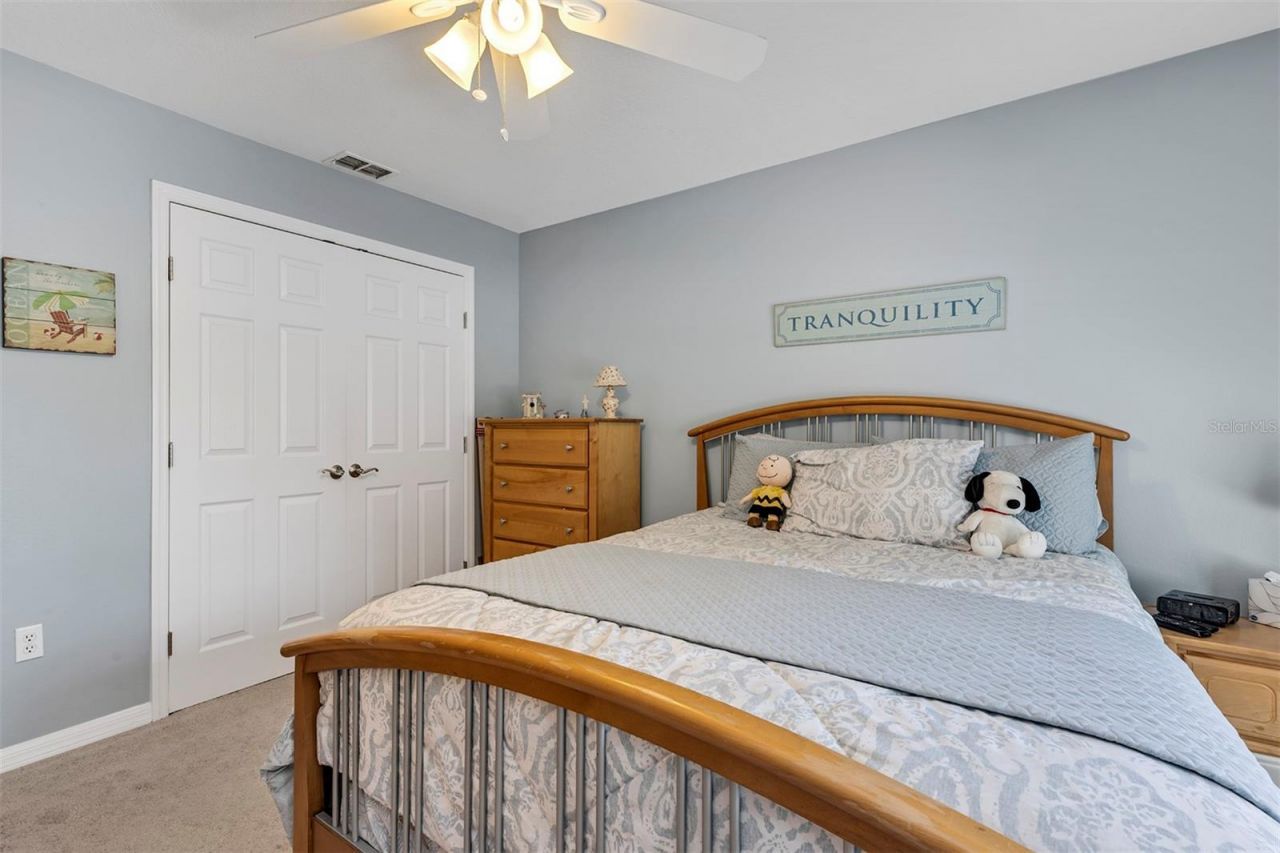 4401 Poplar Grove Court, Leesburg, FL 34748 Photo
