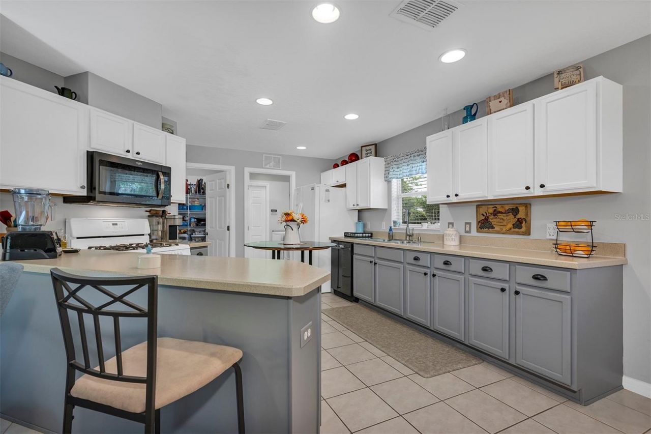 4401 Poplar Grove Court, Leesburg, FL 34748 Photo