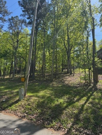Lot 40 Royal Lodge Estates, Pine Mountain, GA 31822 Main Photo