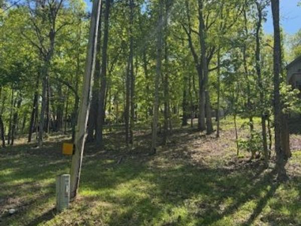 LOT 40 Royal Lodge Estates, Pine Mountain, GA 31822