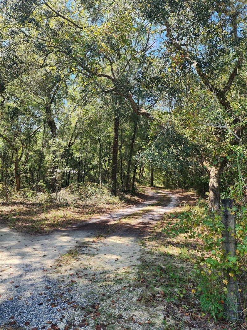 7910 NW 141st Street , Trenton, FL 32693 Photo