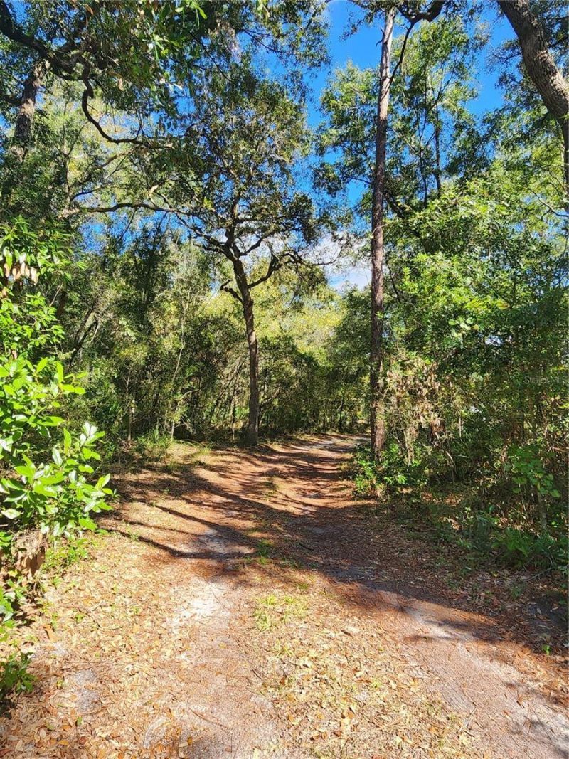 7910 NW 141st Street , Trenton, FL 32693 Photo