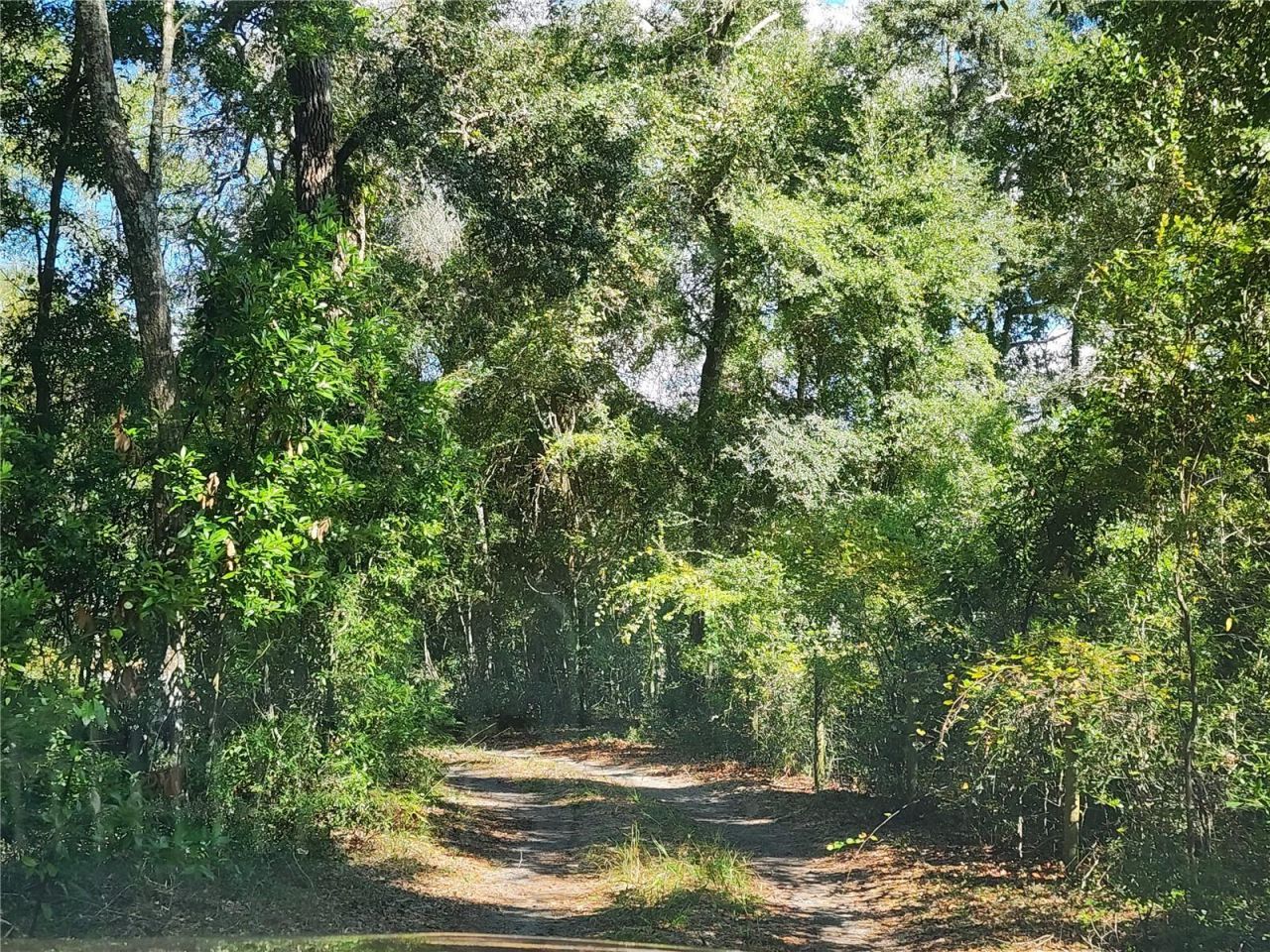 7910 NW 141st Street , Trenton, FL 32693 Photo