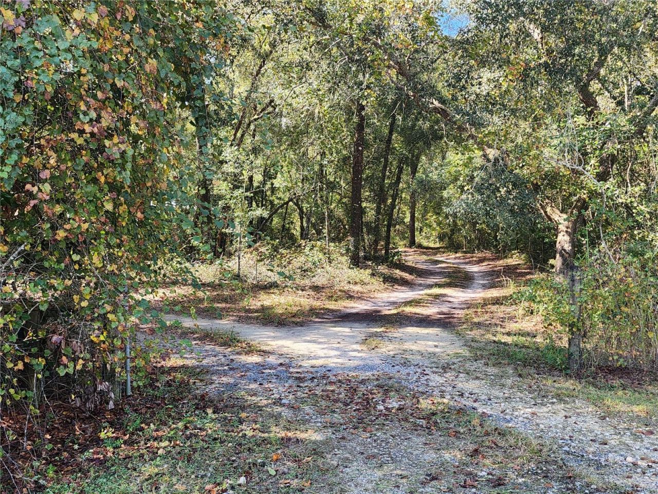 7910 NW 141st Street , Trenton, FL 32693 Photo