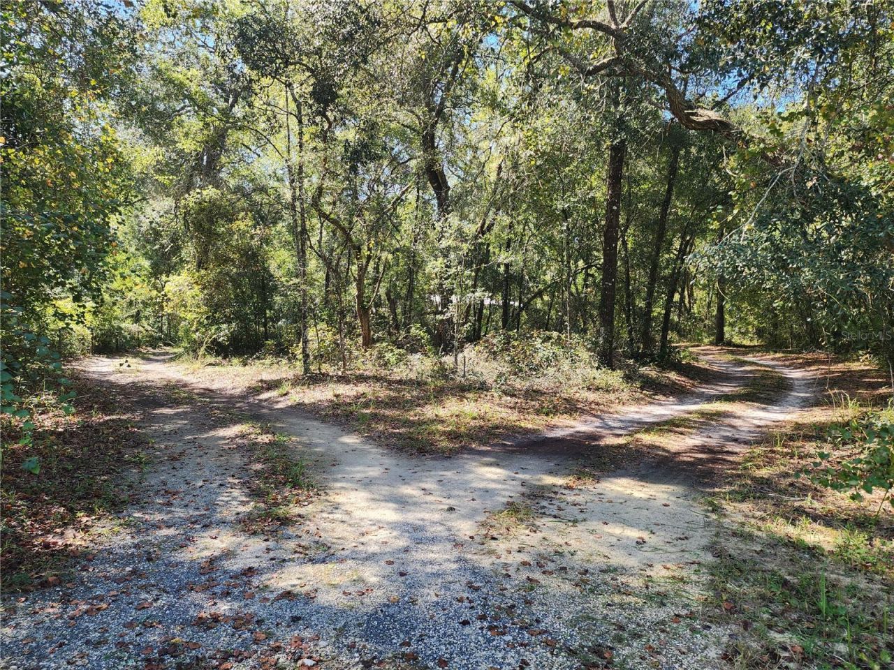 7910 NW 141st Street , Trenton, FL 32693 Photo