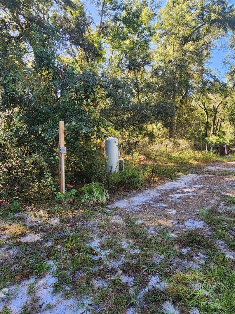 7910 NW 141st Street , Trenton, FL 32693 Photo