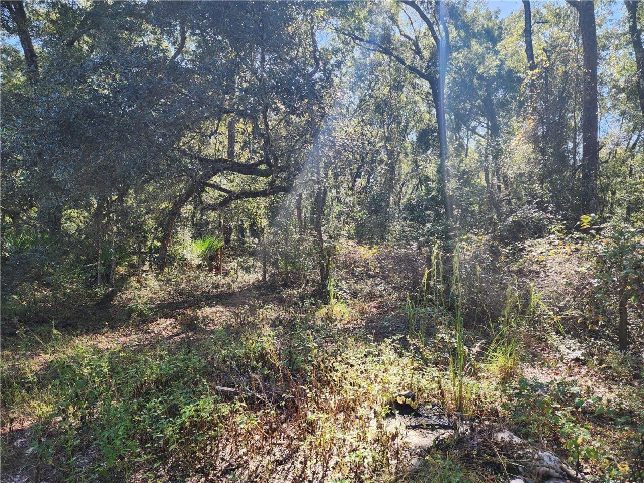 7910 NW 141st Street , Trenton, FL 32693 Photo